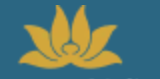 Vietnam Airlines